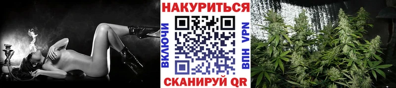 Купить где  Венёв  Бошки Шишки LSD WEED 